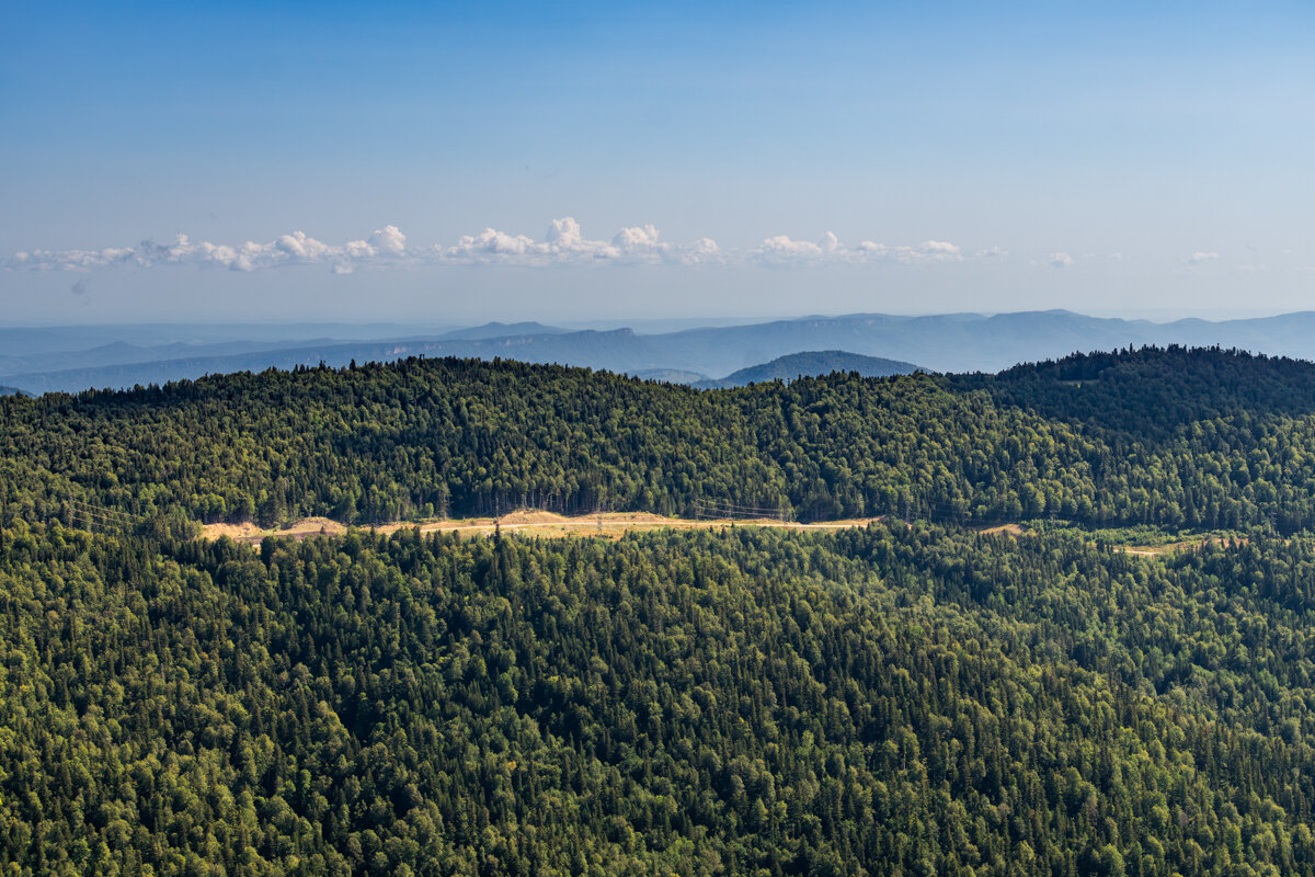 Леса в Адыгее - Игорь Сикорский Леса в Адыгее - Игорь Сикорский