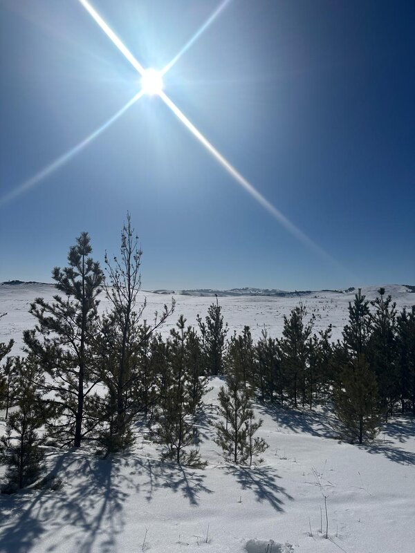 Звезда - Георгиевич 