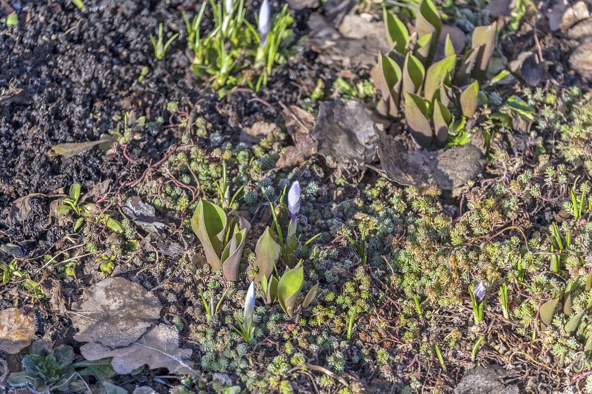 Проклёвываются - Валерий Иванович