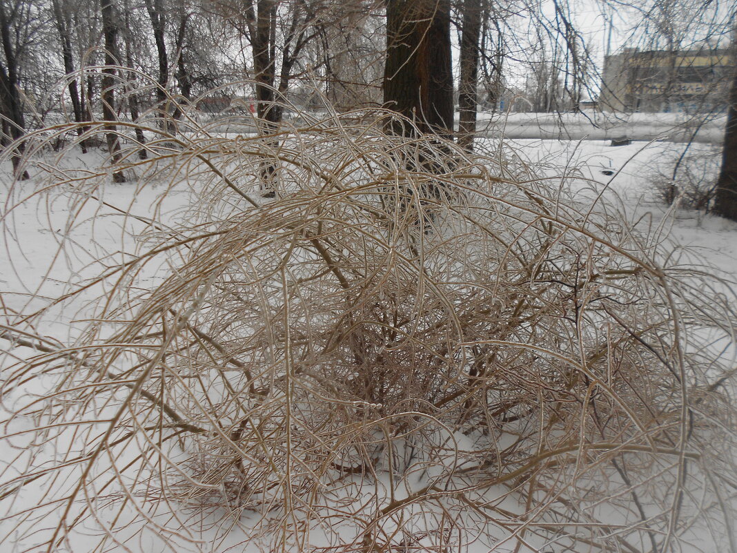 ледяной день - Елена Шаламова