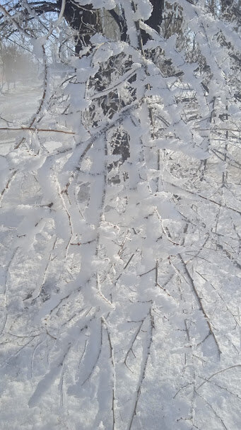 февраль - Елена Шаламова