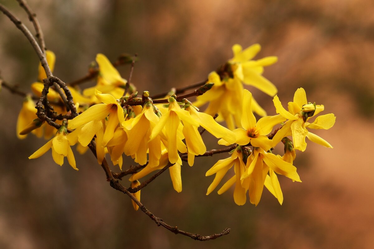 Доброе утро - Юрий. Шмаков Доброе утро - Юрий. Шмаков