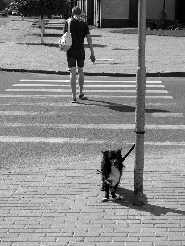 В ожидании хозяина - Олег Зоркий