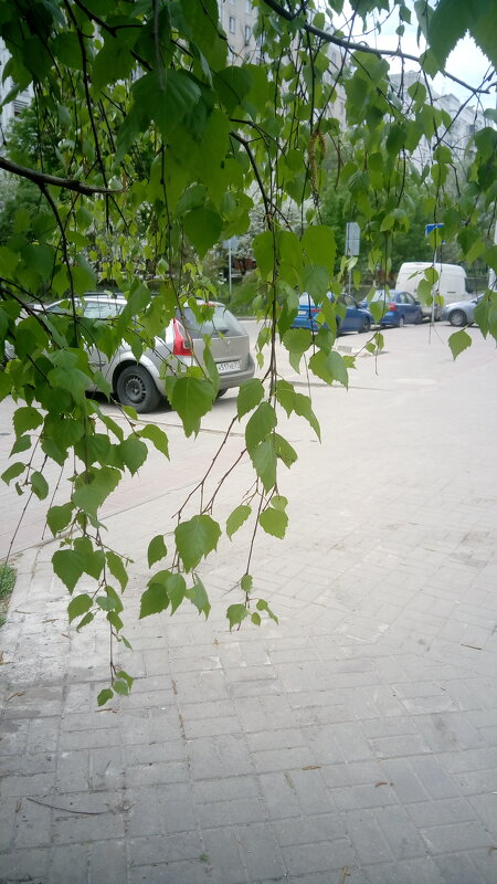 ,,,, - Сергей Тимоновский