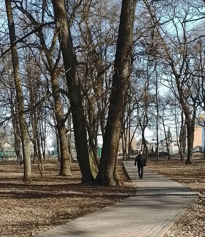 *** - Валентина Береснева