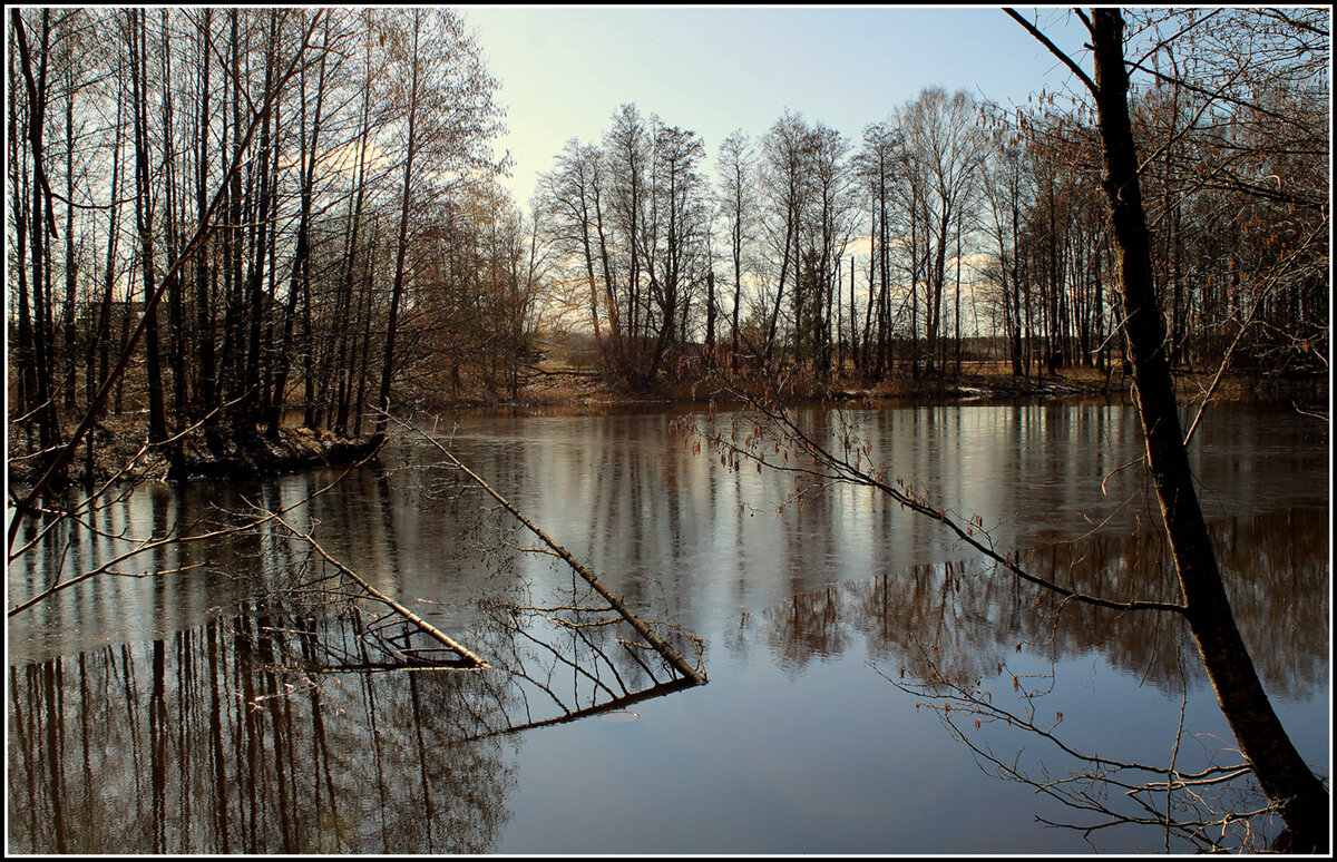 *** - Aleksandr Gal *** - Aleksandr Gal