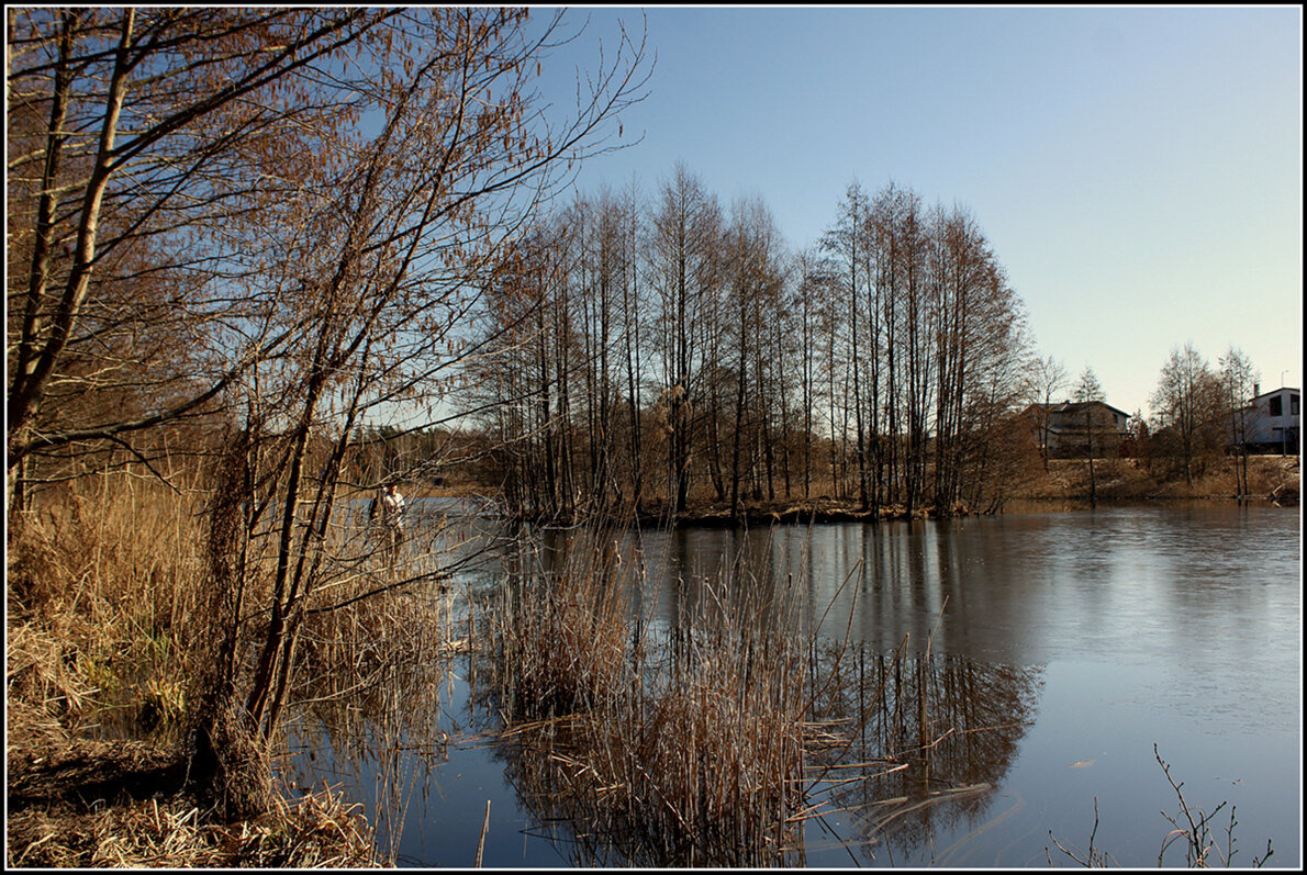 *** - Aleksandr Gal *** - Aleksandr Gal