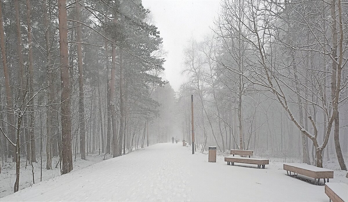 Снегопад - Татьяна Тюменка