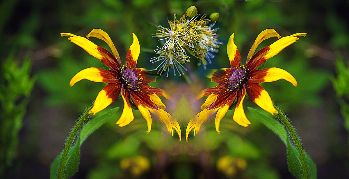 Фотозарисовка - Владимир Кроливец Фотозарисовка - Владимир Кроливец