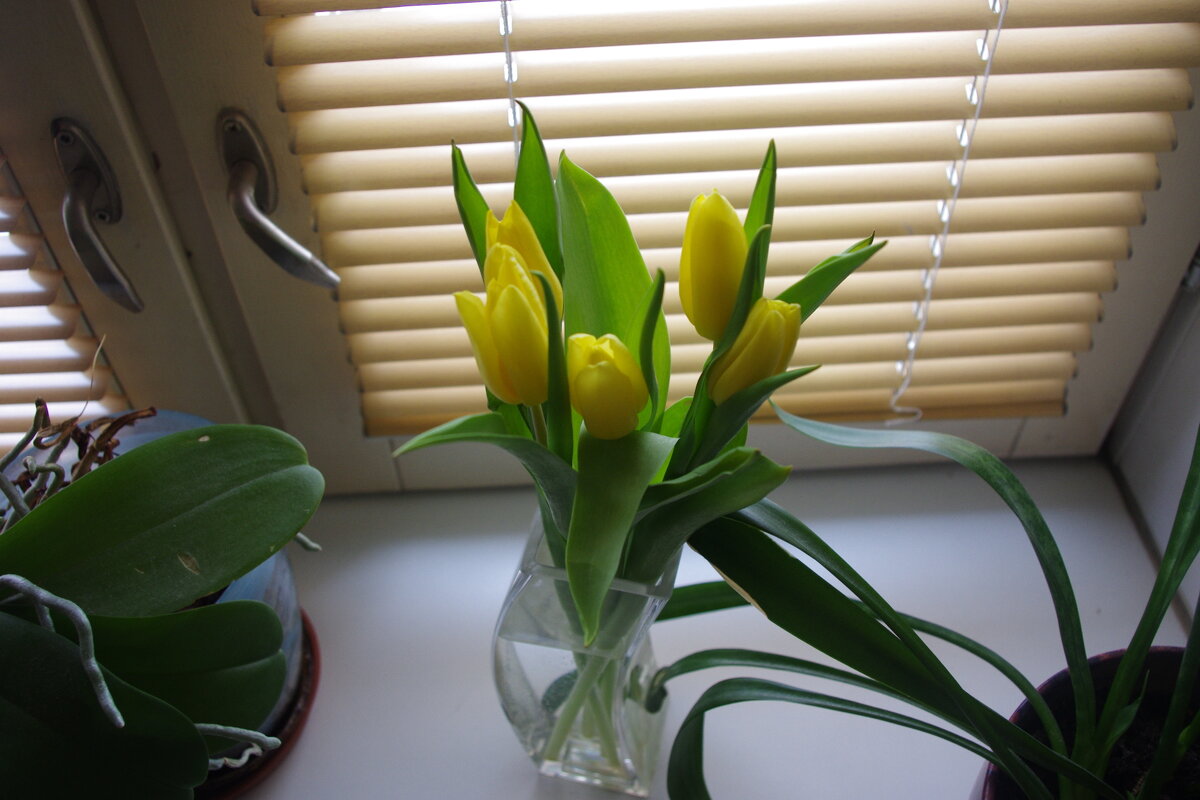 Мартовское утро. - Сергей Мартовское утро. - Сергей