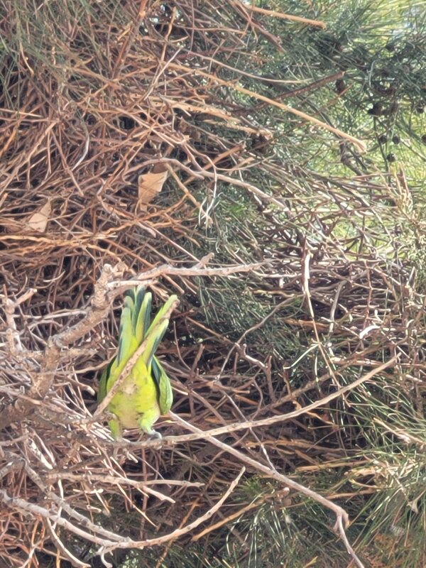 В домик залезу...... - Светлана Хращевская