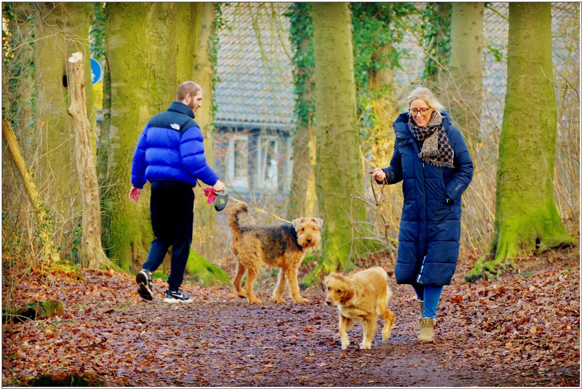 НА ПРОГУЛКЕ... - Elvira E. 