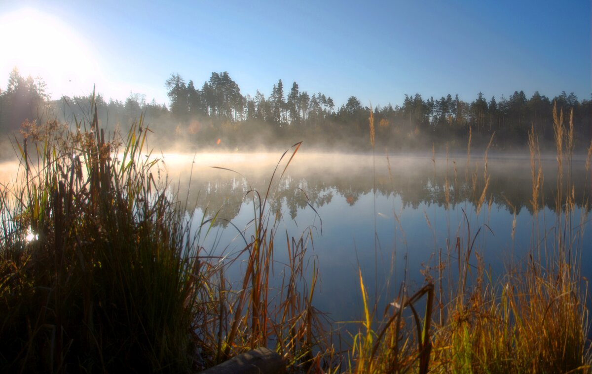 Утро на озере - Александр Мотырев Утро на озере - Александр Мотырев