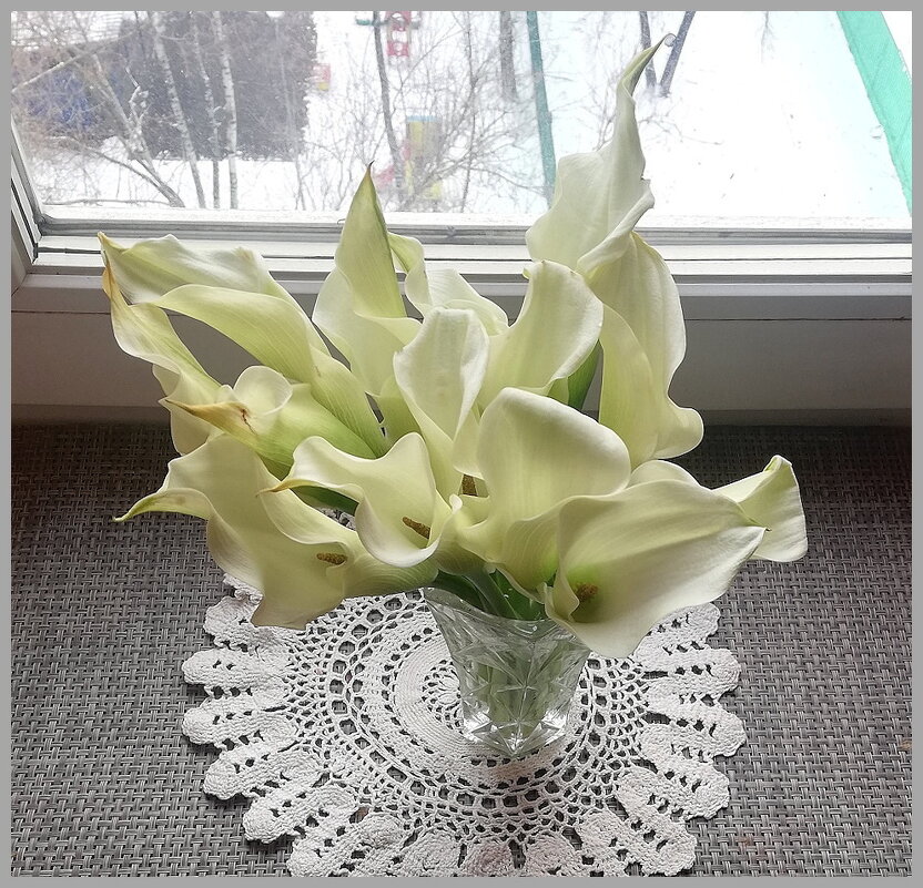 Букет  на подоконнике. - Ольга Довженко