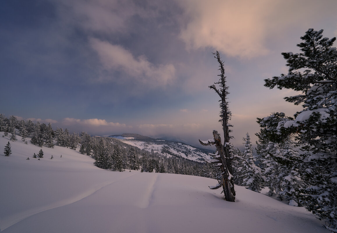 * - Александр Иванов * - Александр Иванов