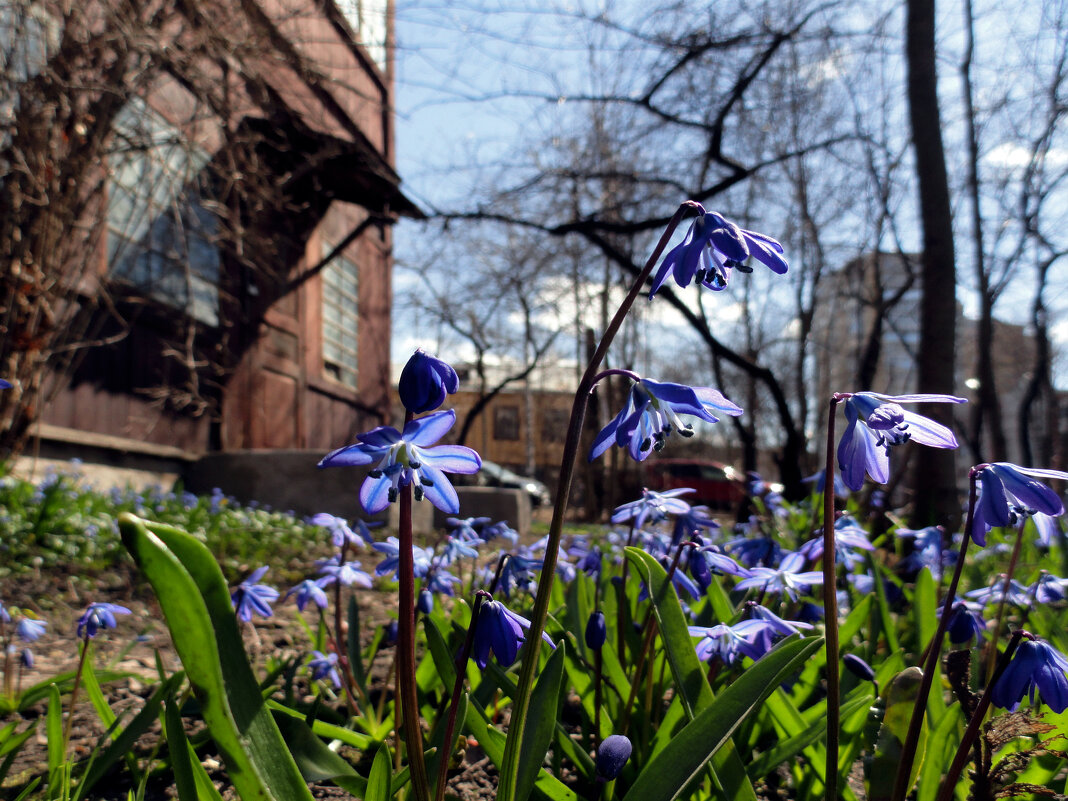 дело движется к весне - Ольга 