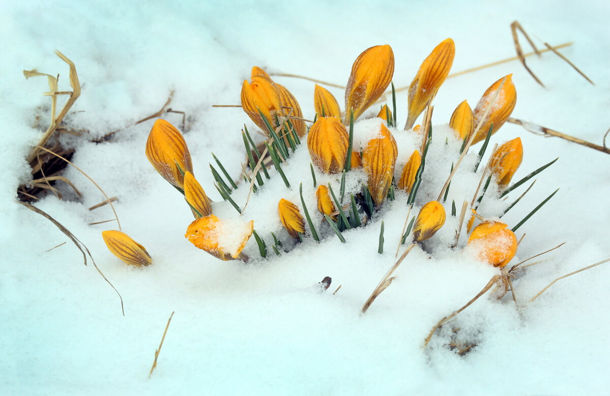 Музеон 17 марта - Михаил Бибичков Музеон 17 марта - Михаил Бибичков