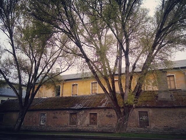 По дороге от автобусной станции к центру Таллина - Alexandra Sakharova