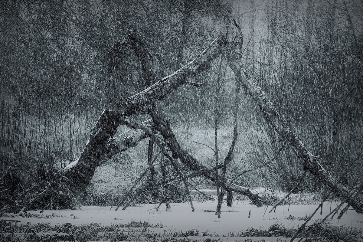 На оз. Малиновское... - Владимир Шошин На оз. Малиновское... - Владимир Шошин