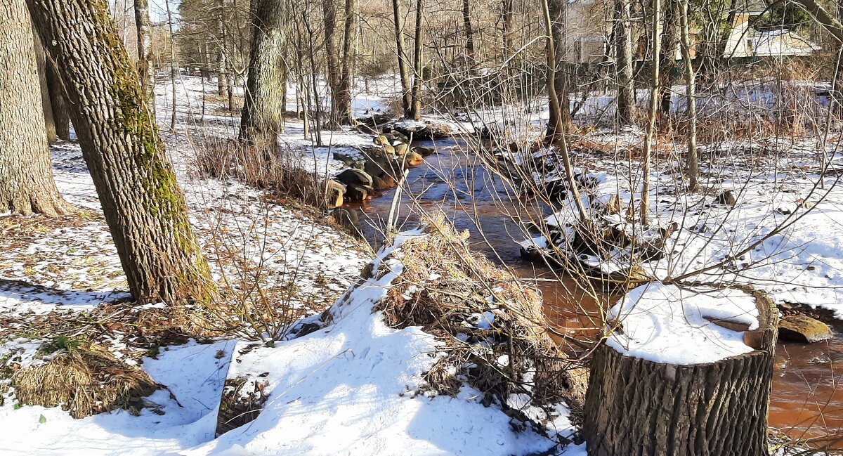 Весенний Зеленогорск - Наталья Герасимова Весенний Зеленогорск - Наталья Герасимова