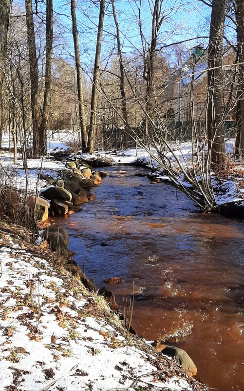 Весенний Зеленогорск - Наталья Герасимова