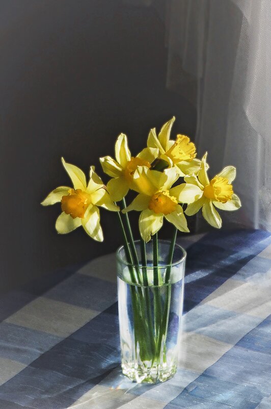 Нарциссы 21 года - Елена Макарова Нарциссы 21 года - Елена Макарова