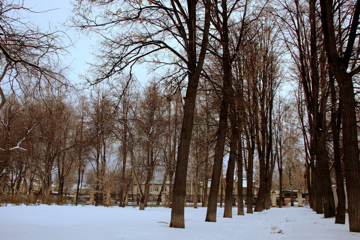 Весенний снег - Нэля Лысенко Весенний снег - Нэля Лысенко