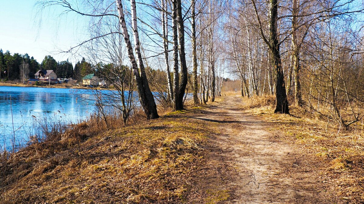 Весна в деревне. - Милешкин Владимир Алексеевич 