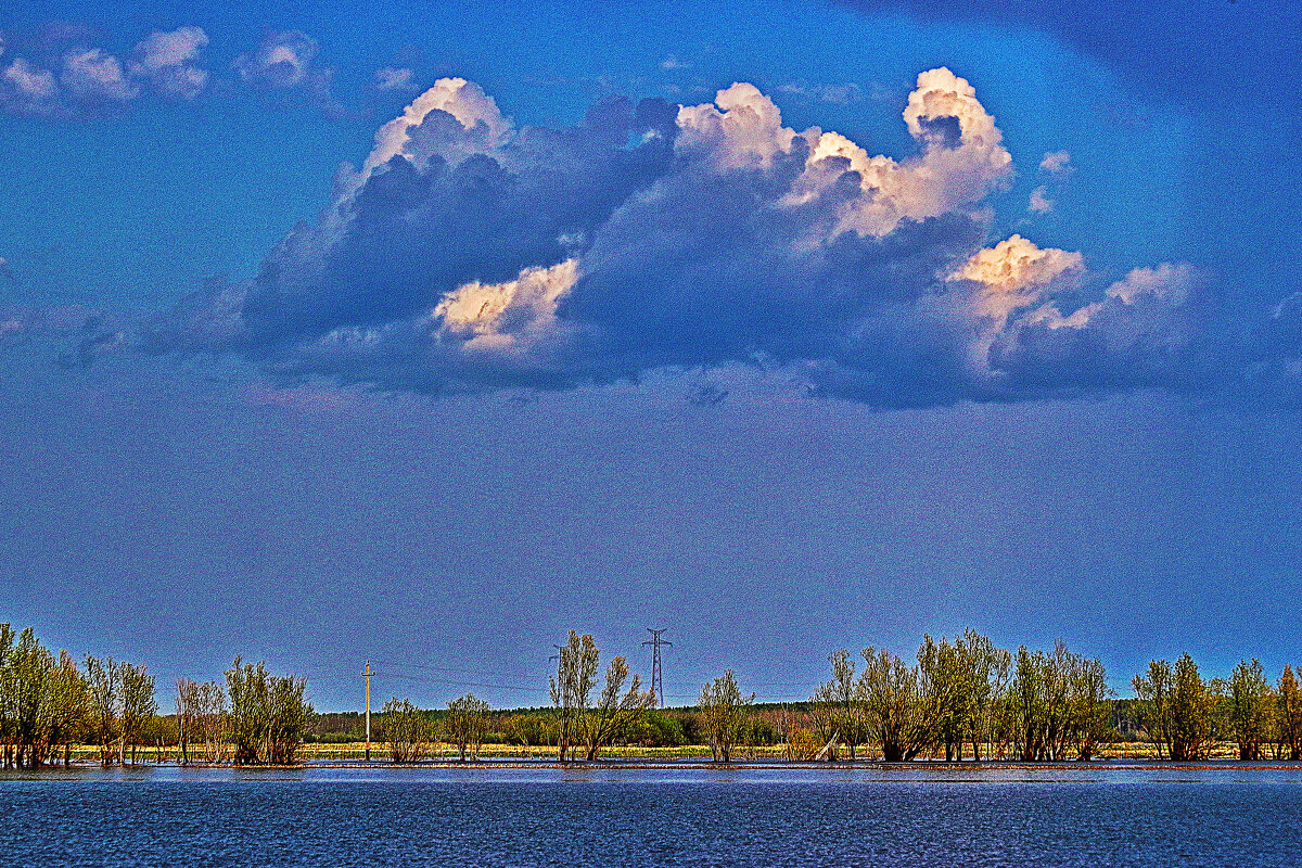 Конец мая...На протоке  Сырой Аган. - Владимир 