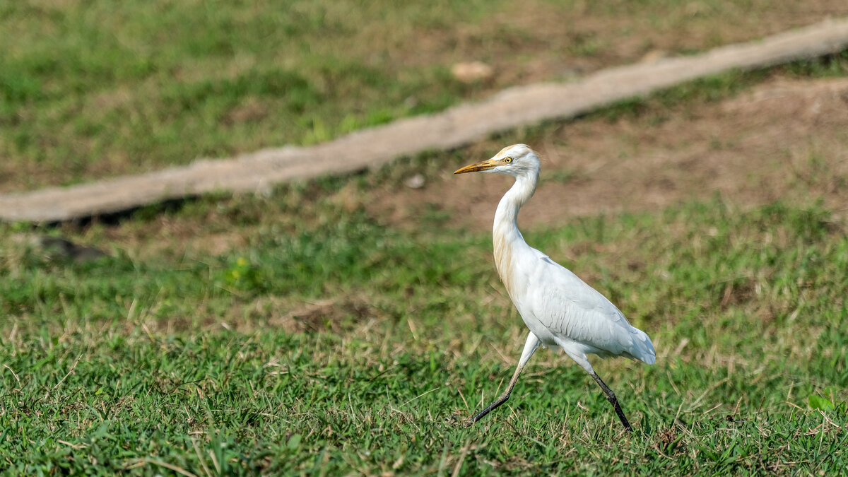 * - Dmitry i Mary S * - Dmitry i Mary S