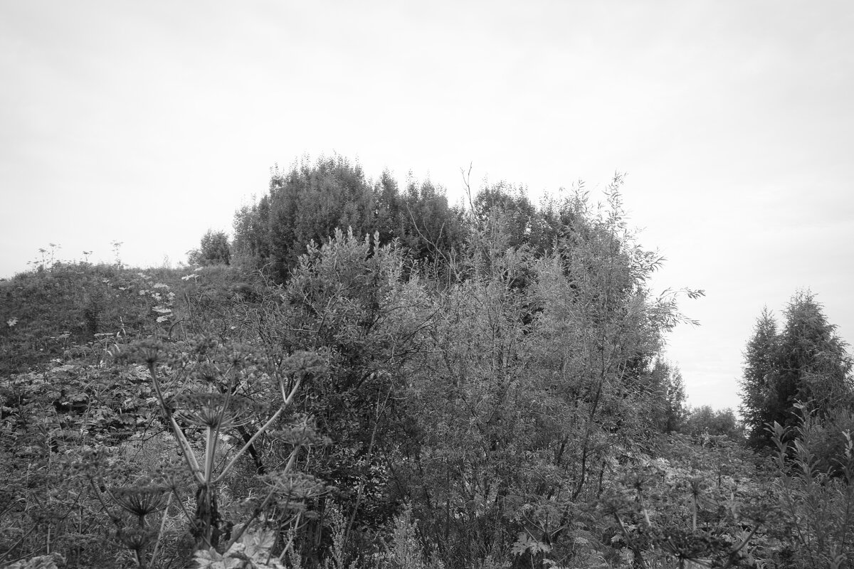 Название отсутствует - Денис Безногов