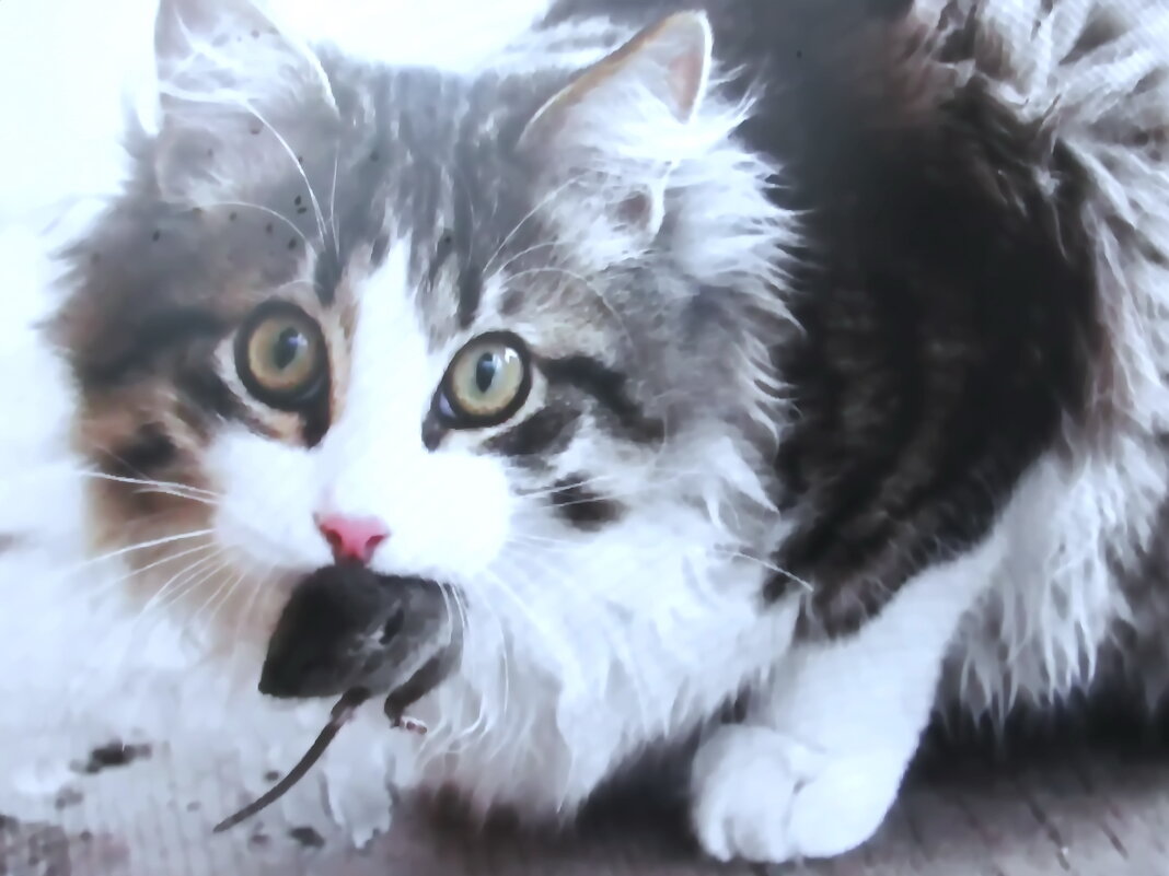 Хищник - Людмила Смородинская Хищник - Людмила Смородинская