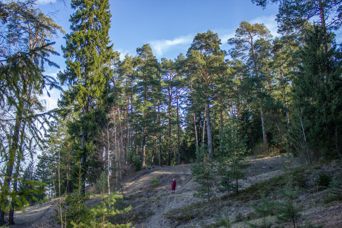 «Вот кто-то с горочки спустился». - Михаил "Skipper"