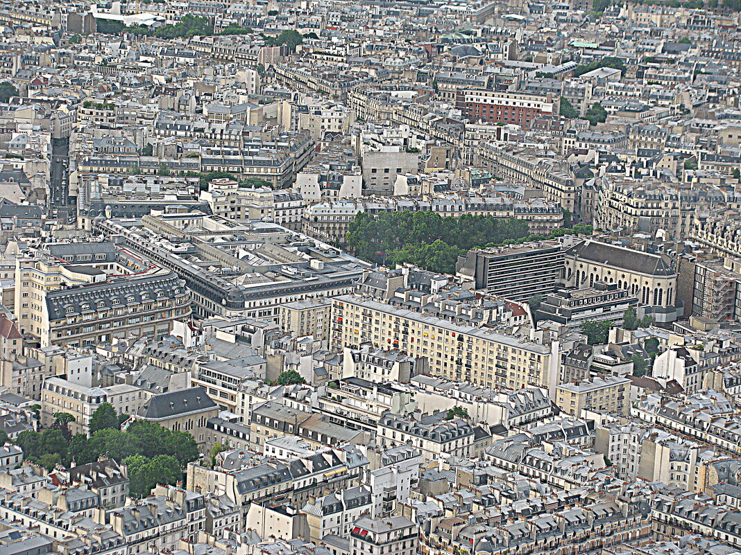 Париж - Владимир Драгунский