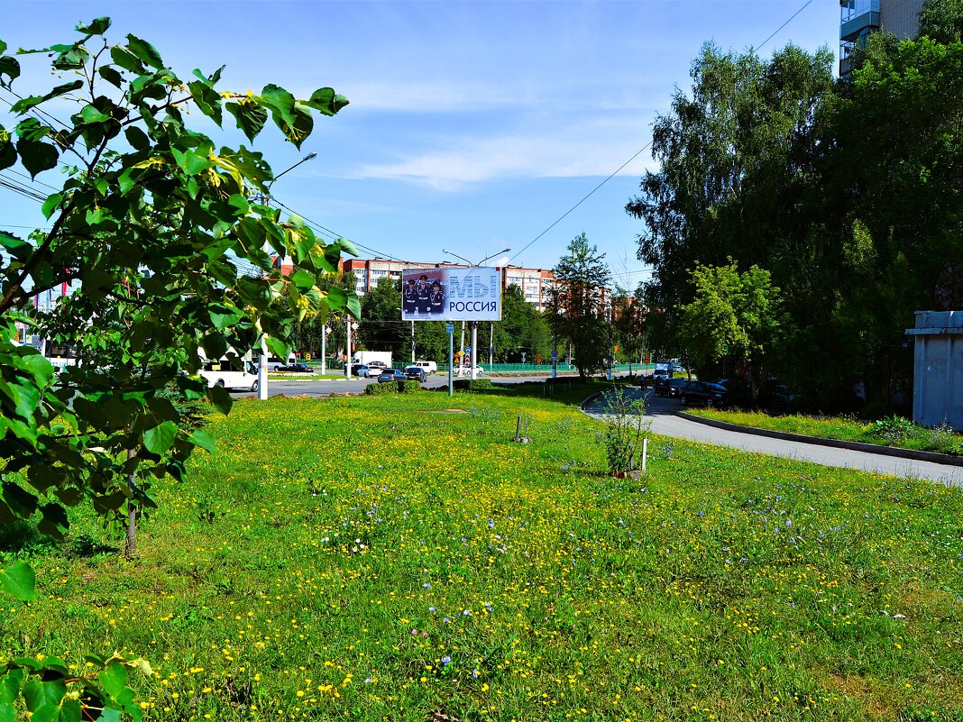 Чебоксары. Летняя лужайка вдоль проспекта Мира. - Пётр Чернега Чебоксары. Летняя лужайка вдоль проспекта Мира. - Пётр Чернега