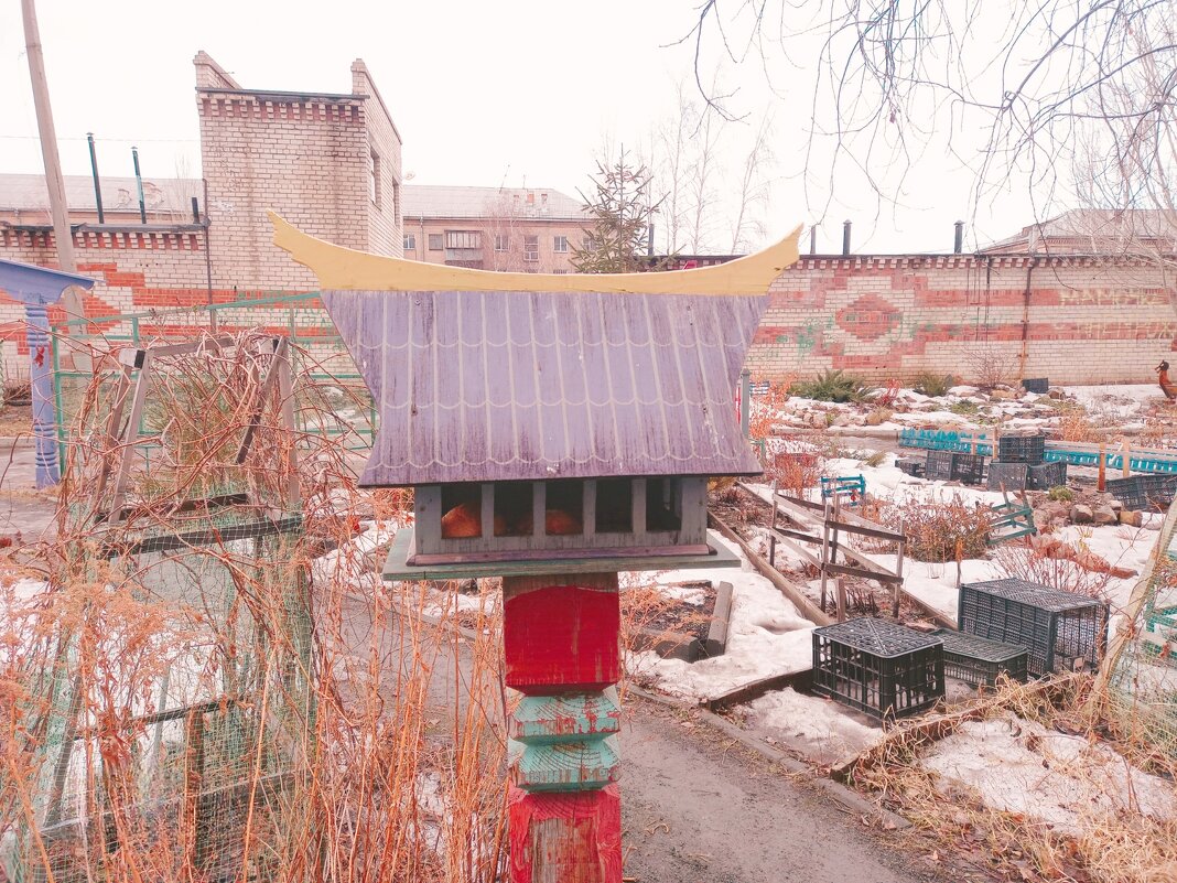 Скворечник, для любителей экзотики. - Игорь Солдаткин