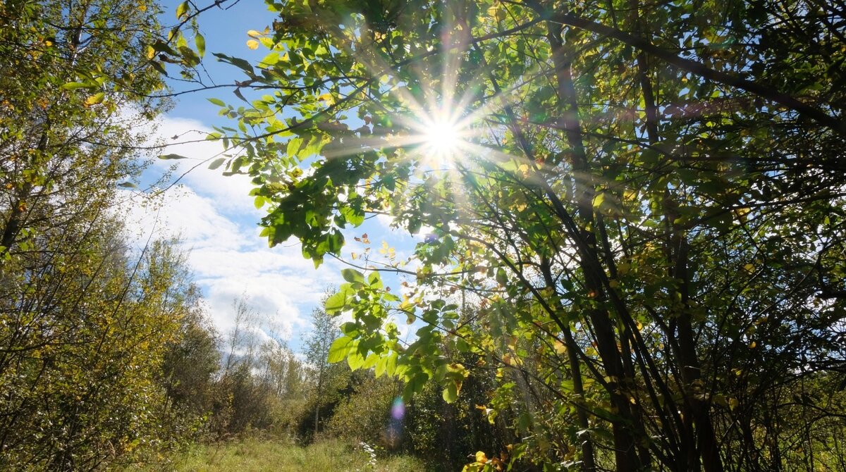 Солнечный денёк - Олег Зоркий