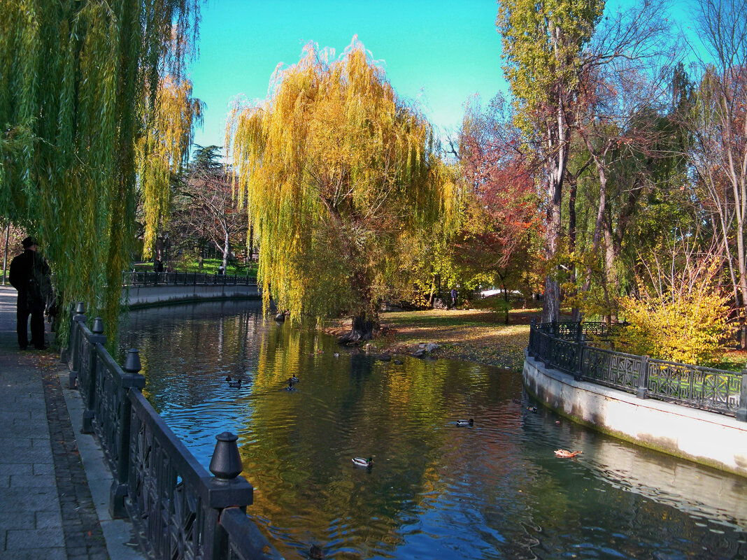 Ивушка плакучая - Валентин Семчишин Ивушка плакучая - Валентин Семчишин