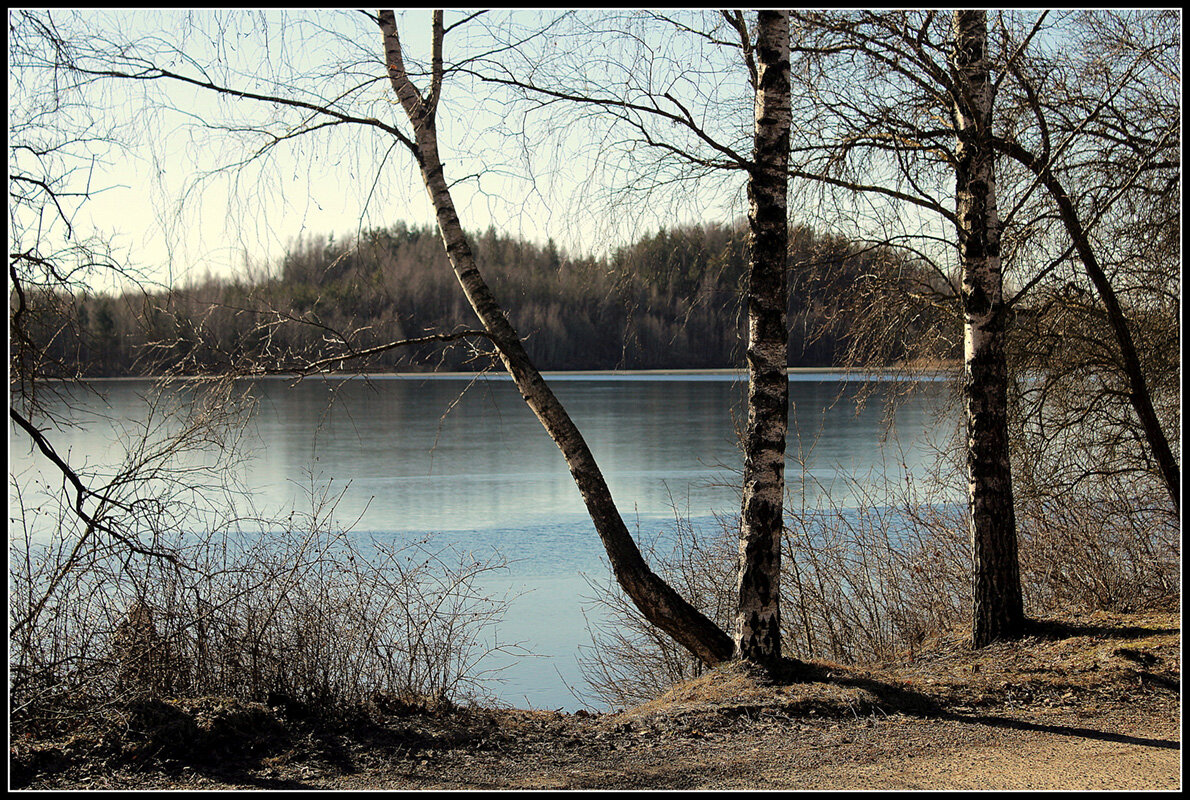 *** - Aleksandr Gal *** - Aleksandr Gal