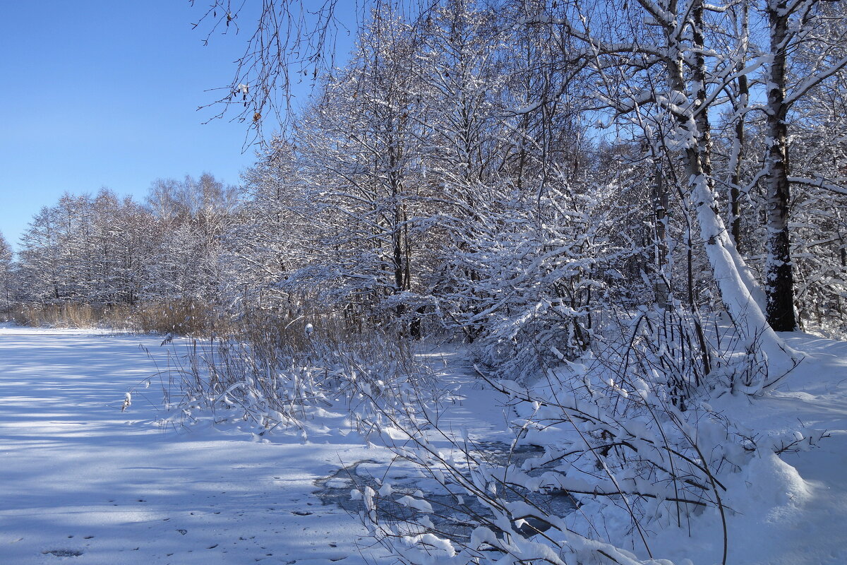 Зимушка-зима - Рита Симонова Зимушка-зима - Рита Симонова