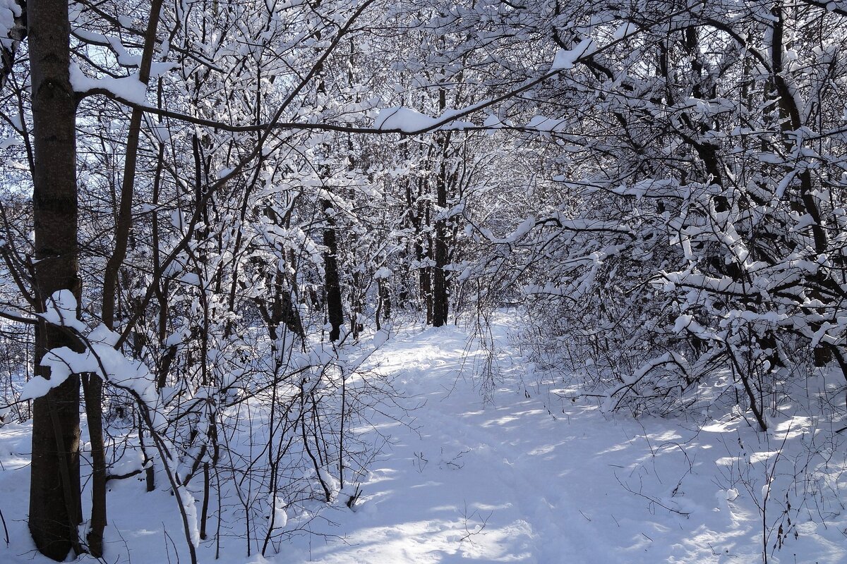 Зимушка-зима - Рита Симонова