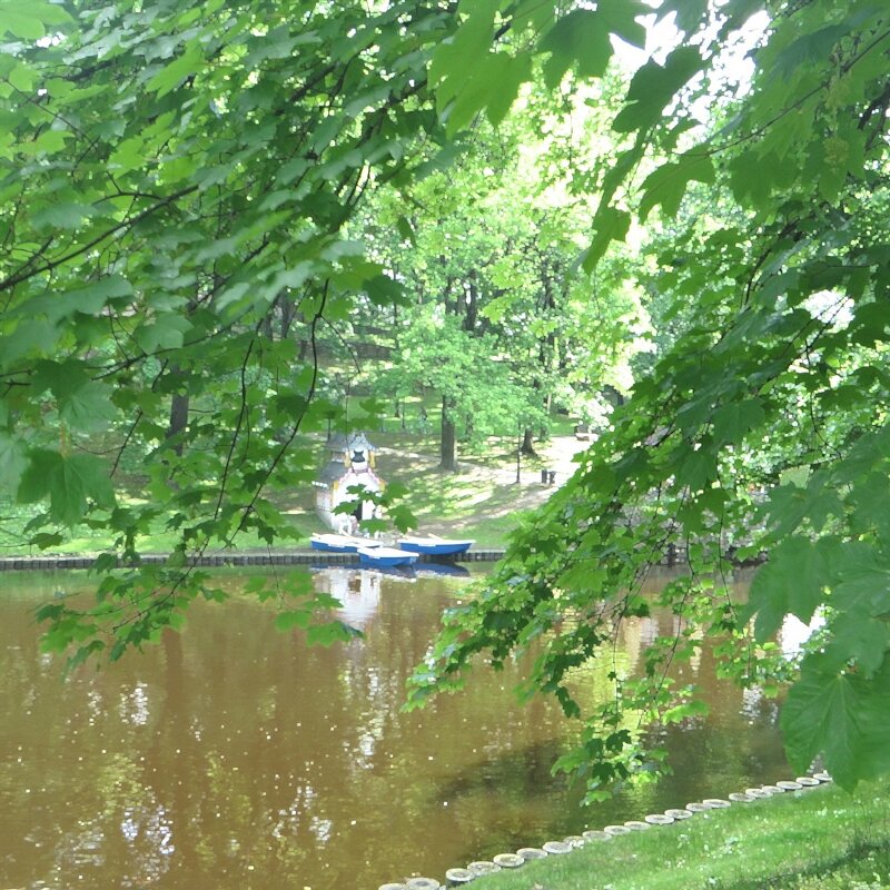 парк - марта Камушкина парк - марта Камушкина