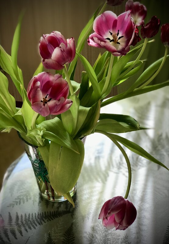 Прекрасны, даже в увядании. - Любовь Прекрасны, даже в увядании. - Любовь