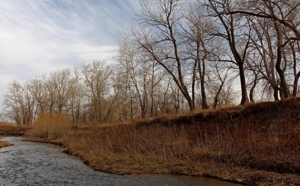 Мартъ - Олегъ Петрович