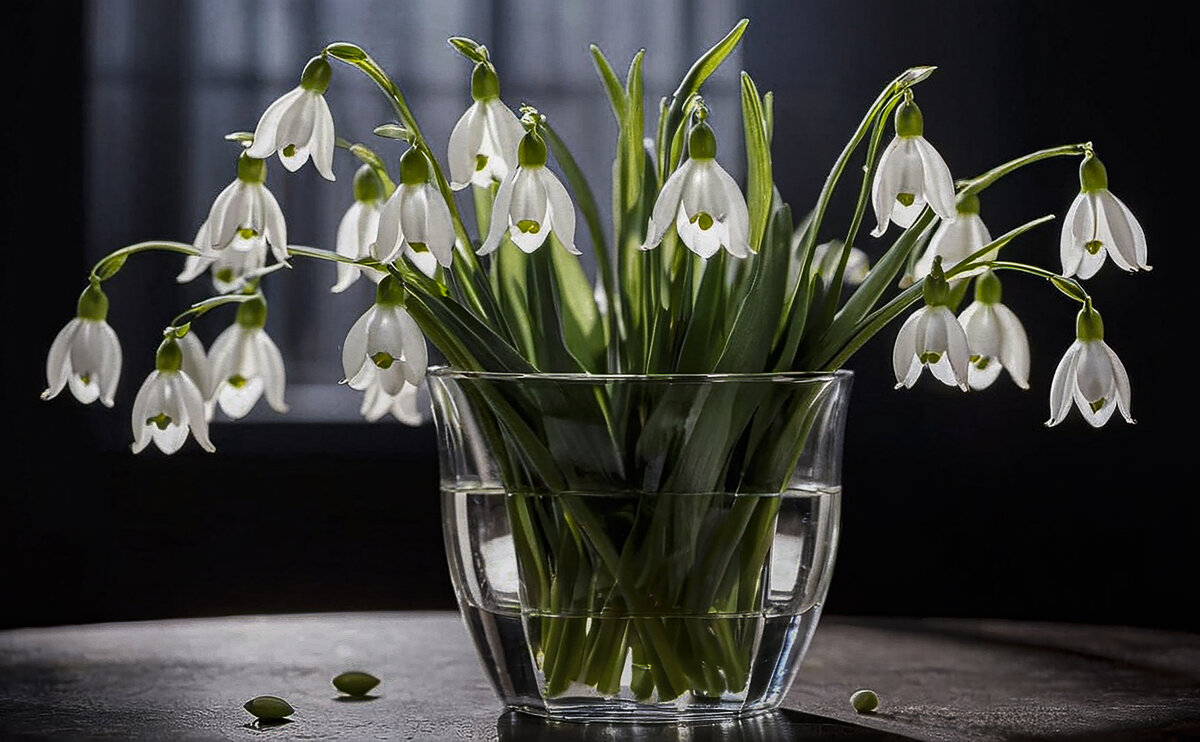 Подснежник. - Aleksey Afonin