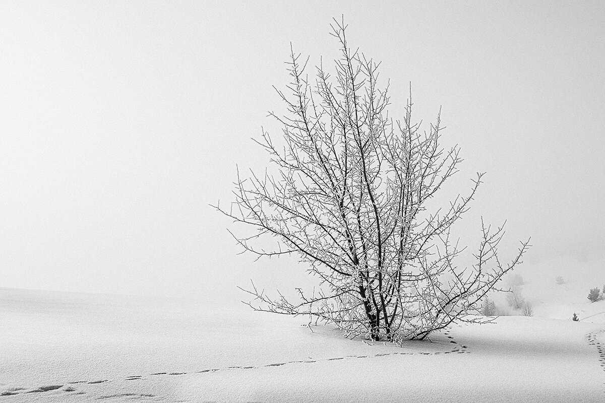 рядом - Максимус Кунгурский