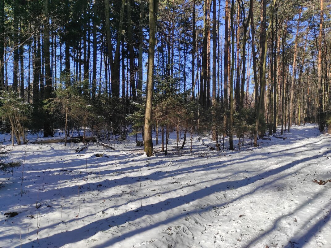 Весна - Игорь Ч. Весна - Игорь Ч.