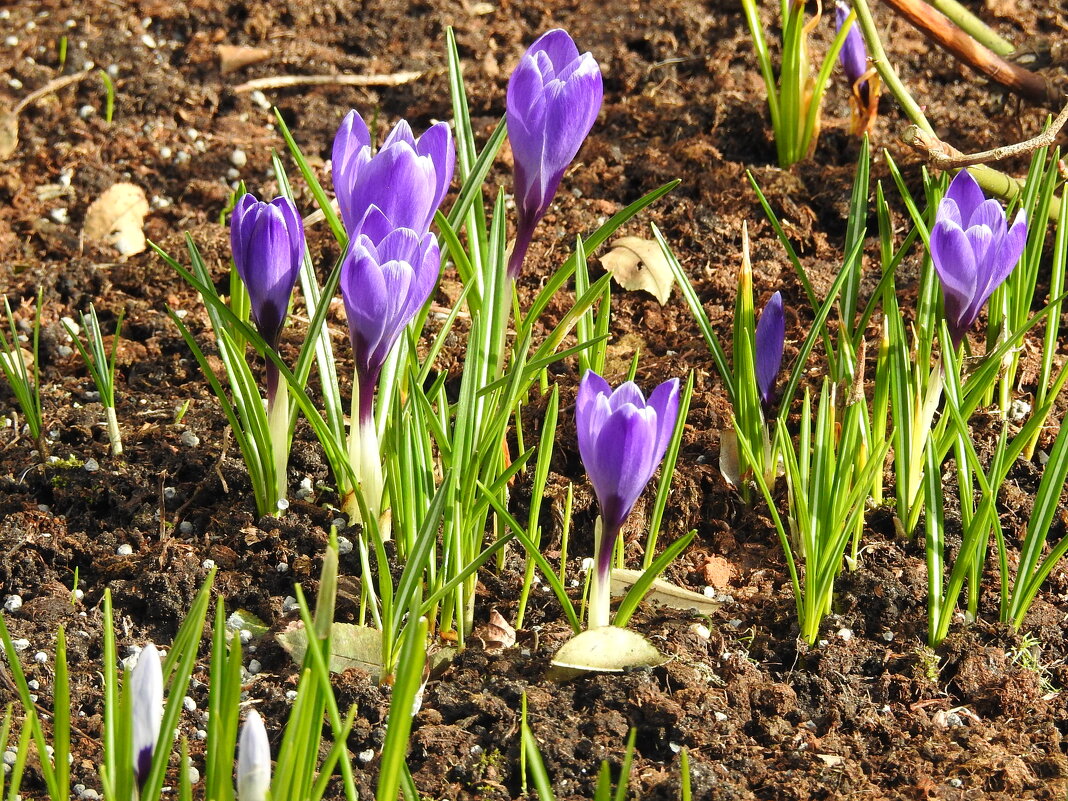 **** - ИННА ПОРОХОВА