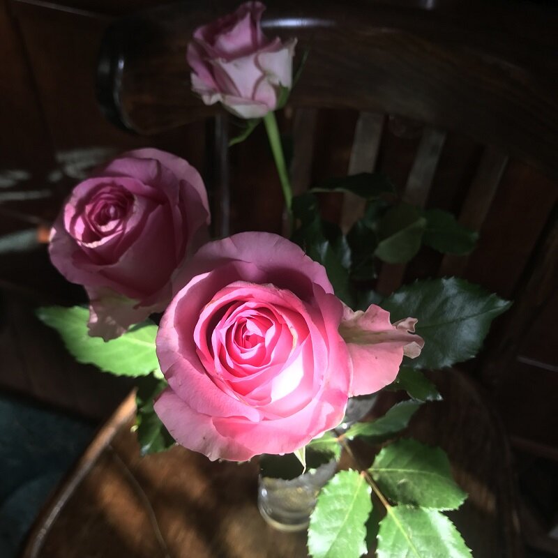 В луче... - Татьяна Юрасова