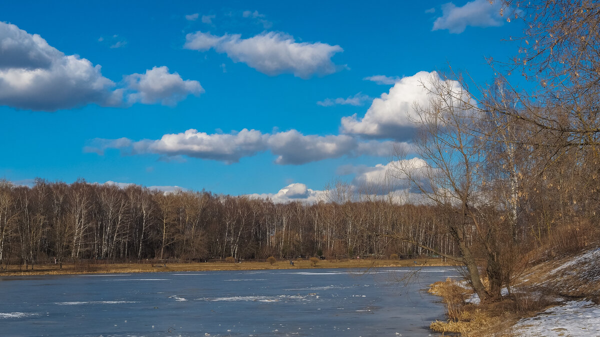 ***** - юрий поляков